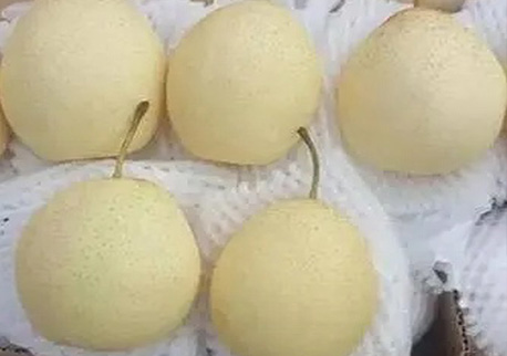 鴨梨：十個(gè)月儲存期